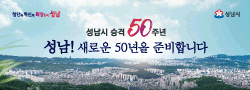 https://www.seongnam.go.kr/main.do