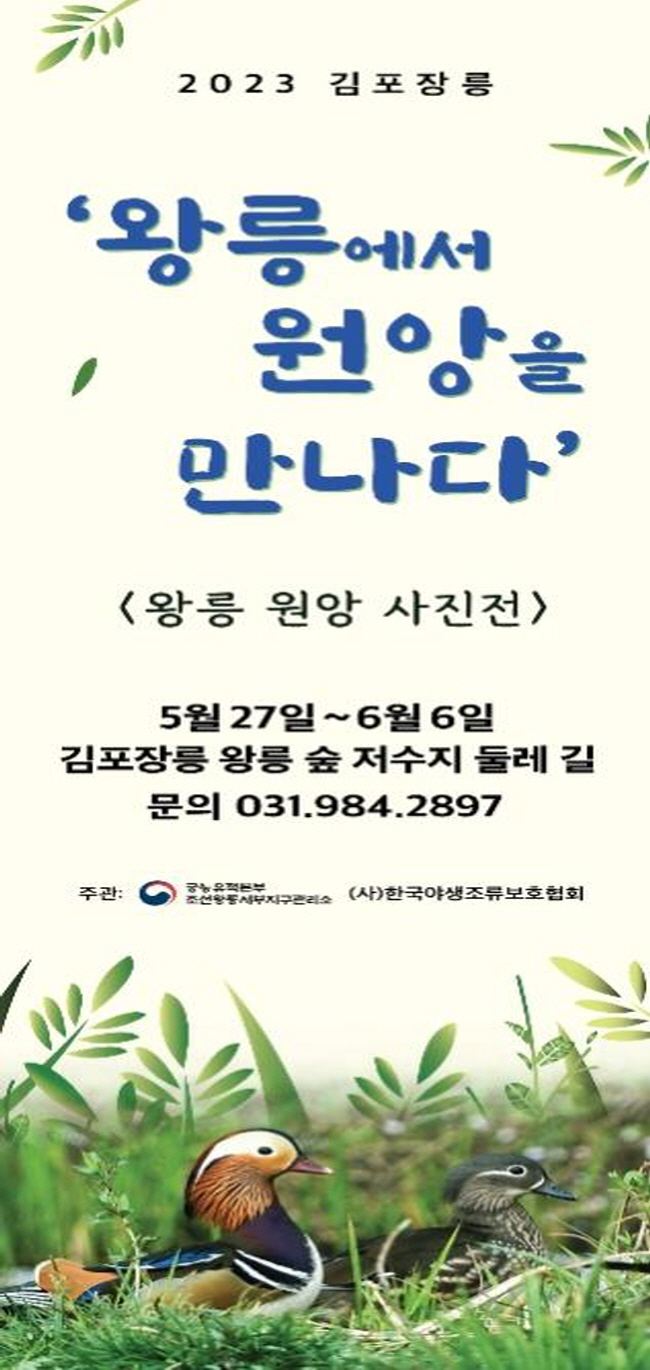 김포 장릉에서 천연기념물 원앙을 만나다.png