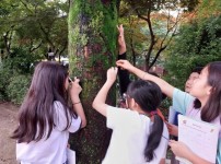 환경정책과-성남시 환경교육 프로그램 중 하나인 숲 탐방 시간에 초등 5학년생들이 나무와 이끼를 관찰하고 있다.jpg width: 200px; height : 150px