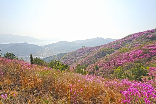 여수 영취산 흥국사 일원」 명승 지정 예고.png