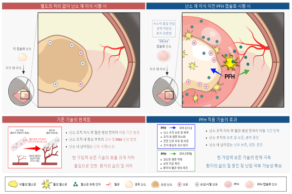 [이미지]난소 조직을 이용한 현 가임력 보존 기술의 한계점과 연구진의 기술 개발에 대한 모식도.png