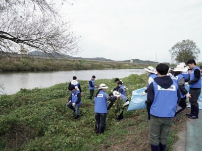 환경정책과-성남시, ESG 환경 분야 협업 기업 8곳 임직원들과 탄천 일대 생태계 교란 식물 제거 활동.jpg